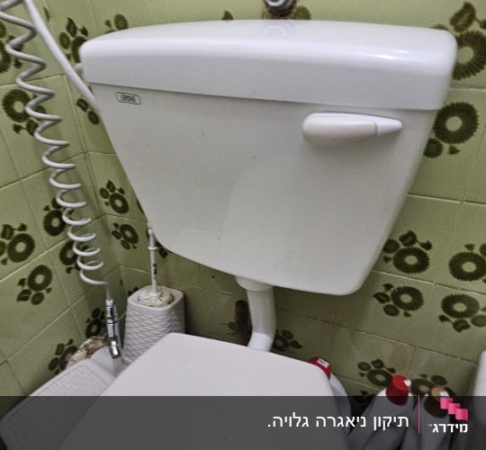 אסלה עם מיכל הדחה, צינור מים ומברשת ניקוי